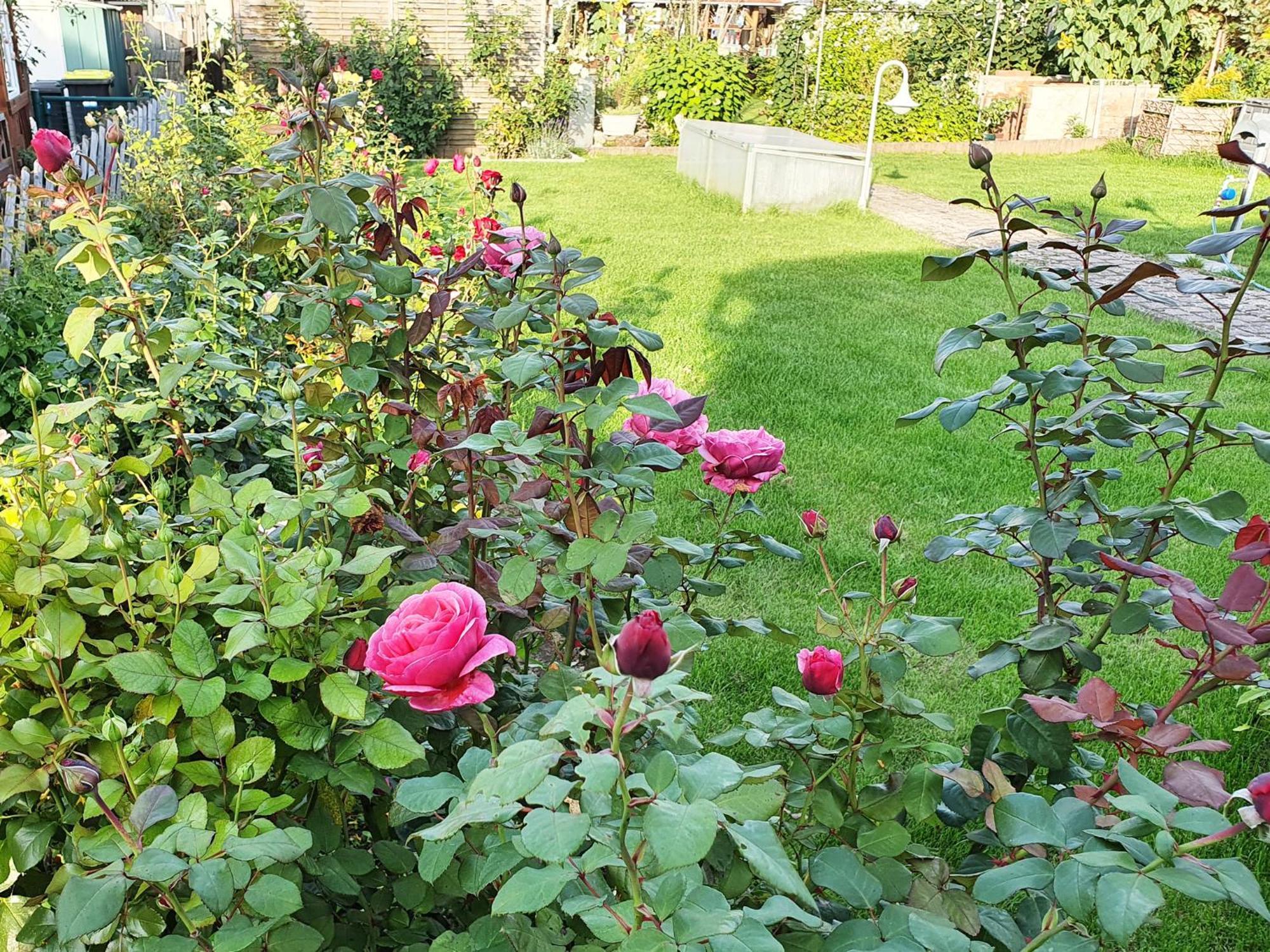 Ferienwohnungen Hainichglueck Bad Langensalza Exterior foto